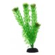 Barbus Растение пластиковое Амбулия Зеленая 002