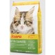 Josera Kitten Grainfree Корм для котят, беременных и кормящих кошек