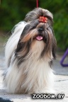 OLEG0434-1